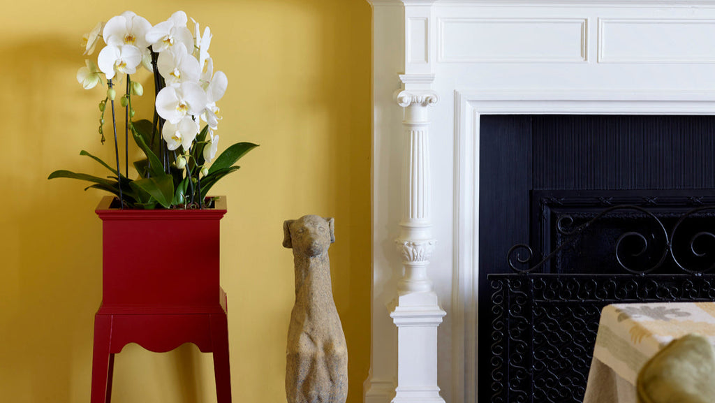 The Oakley Planter
